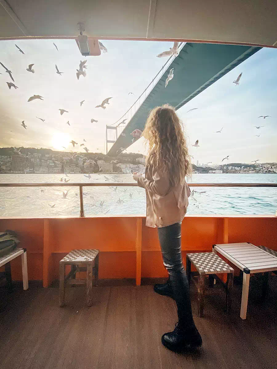 Dinner cruise Istanbul