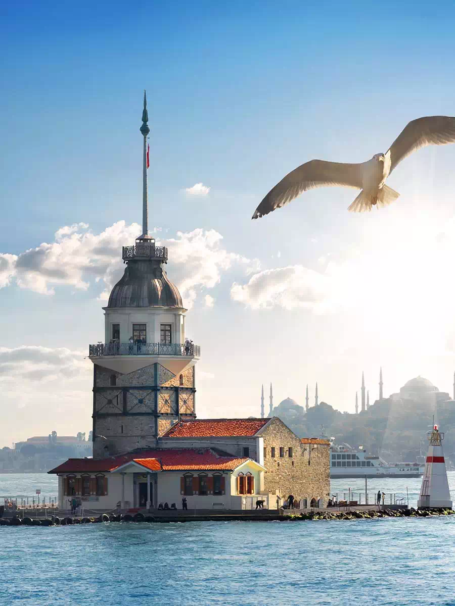 Istanbul boat and yacht cruises